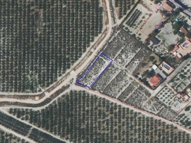 Terreno en venta Molina de Segura
