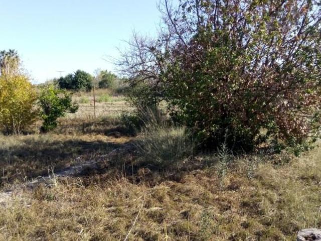 Terreno en venta Molina de Segura