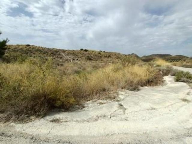 Terreno en venta Molina de Segura