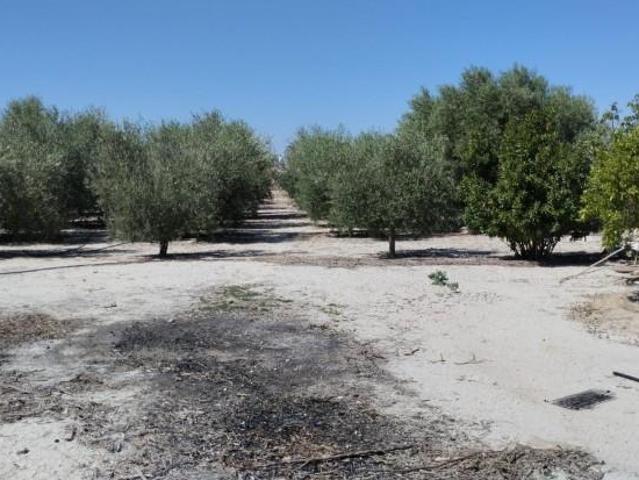 Terreno en venta Molina de Segura