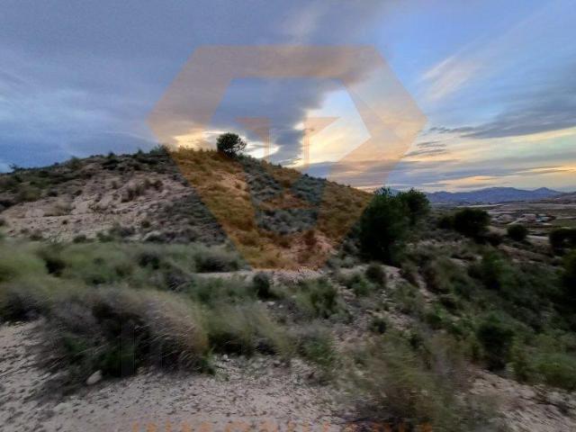 Terreno en venta Molina de Segura