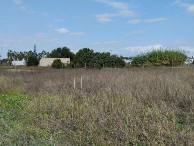 Terreno en venta Molina de Segura