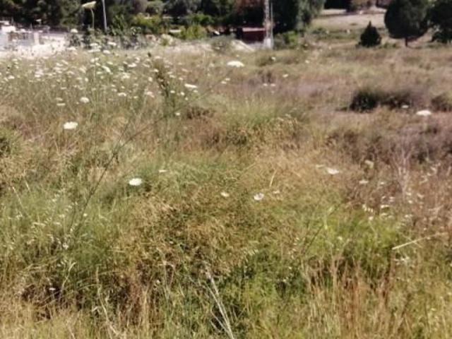 Terreno en venta Molina de Segura