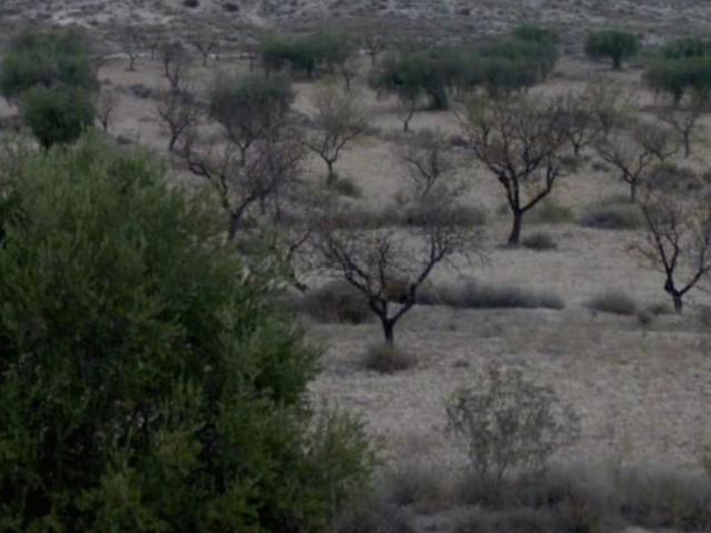 Terreno en venta Molina de Segura