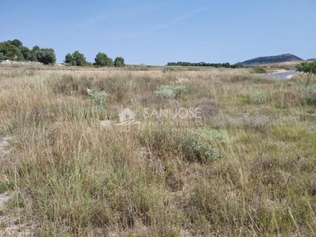 Terreno en venta Monovar Monover
