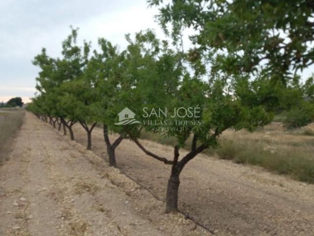 Terreno en venta Monovar Monover