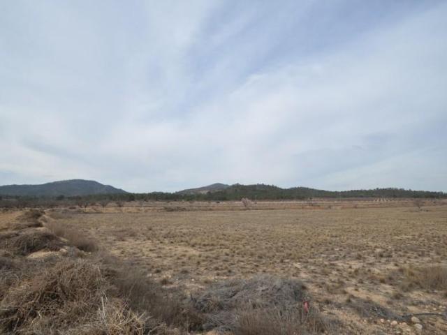 Terreno en venta Monovar Monover