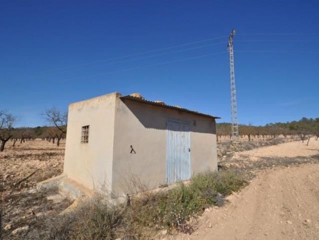 Terreno en venta Monovar Monover