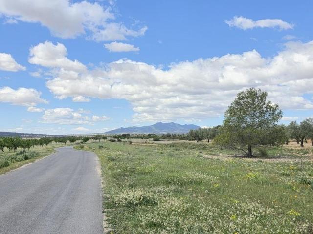 Terreno en venta Monovar Monover