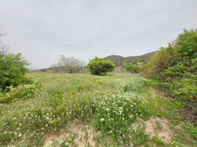 Terreno en venta Monovar Monover