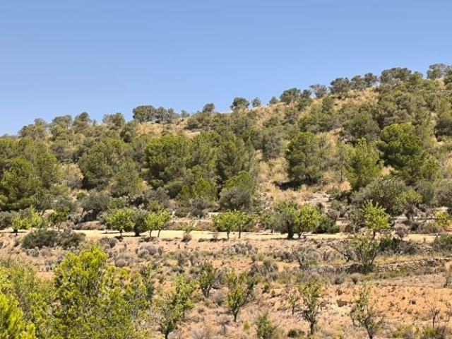 Terreno en venta Monovar Monover