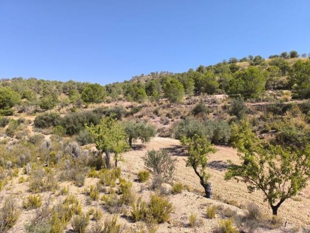 Terreno en venta Monovar Monover