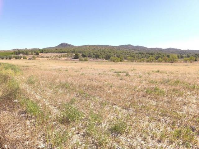 Terreno en venta Monovar Monover
