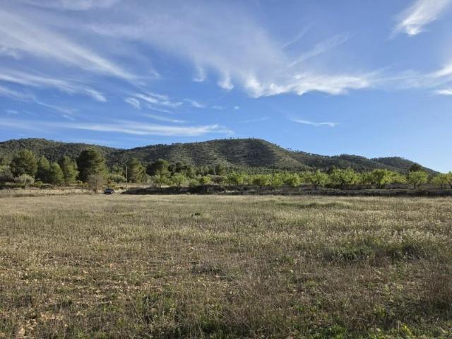 Terreno en venta Monovar Monover