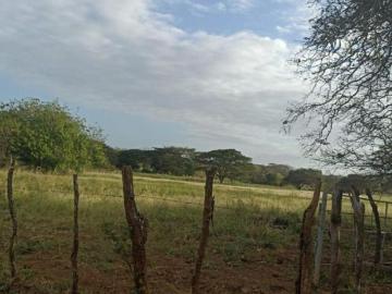 Terreno en Venta – Monagrillo, Chitré, Herrera