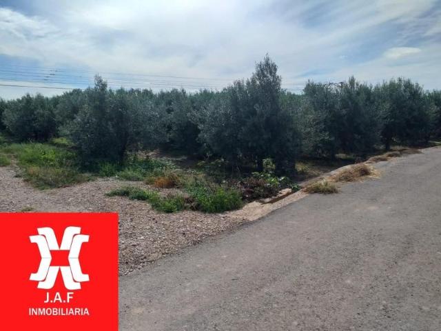 Terreno en venta Moncada