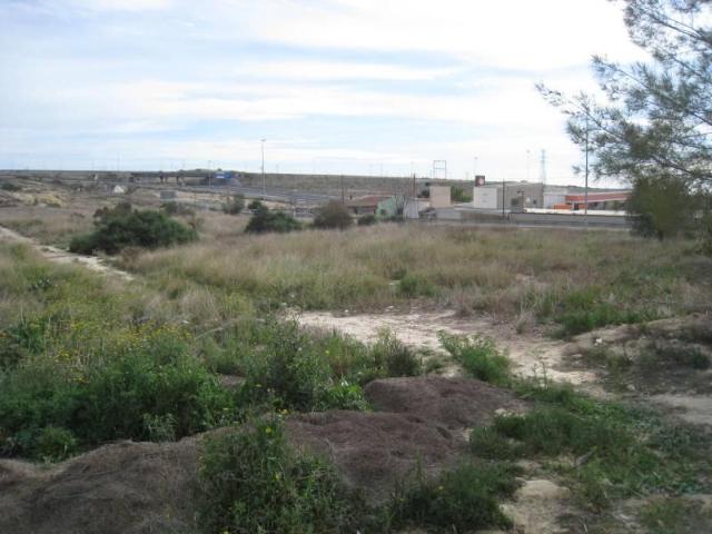 Terreno en venta Monforte del Cid