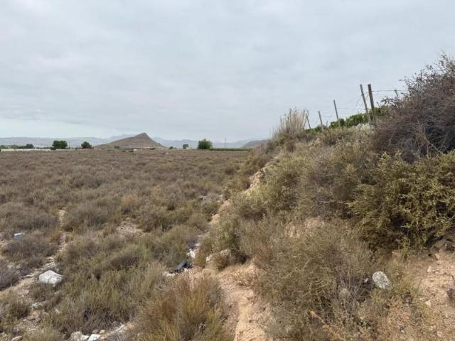Terreno en venta Monforte del Cid