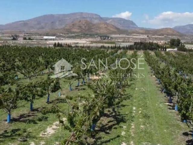 Terreno en venta Monforte del Cid