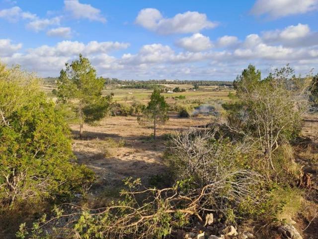 Terreno en venta Montuïri