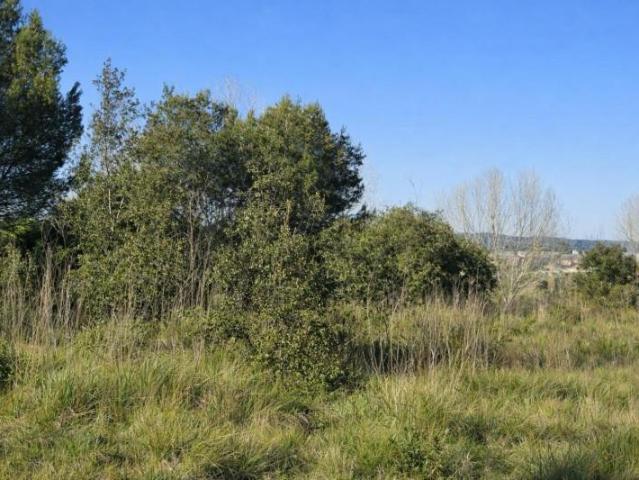 Terreno en venta Montaverner