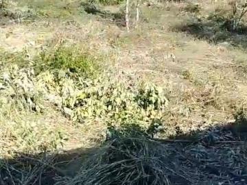 TERRENO EN VENTA MONTE SUR