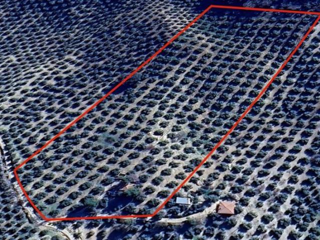 Terreno en venta Montefrío