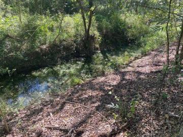 TERRENO EN VENTA MONTEMORELOS NL