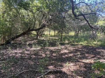 TERRENO EN VENTA MONTEMORELOS NL