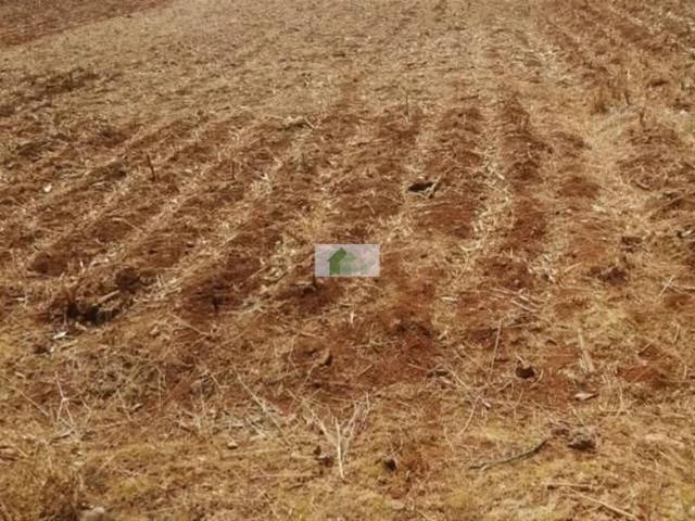 Terreno en venta Montijo