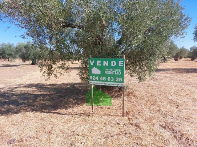 Terreno en venta Montijo
