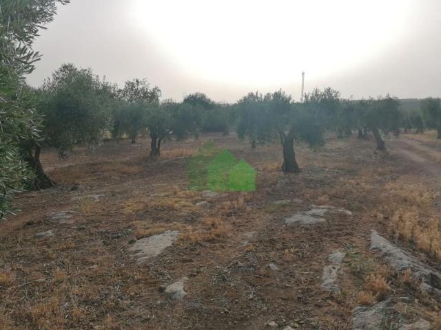 Terreno en venta Montijo