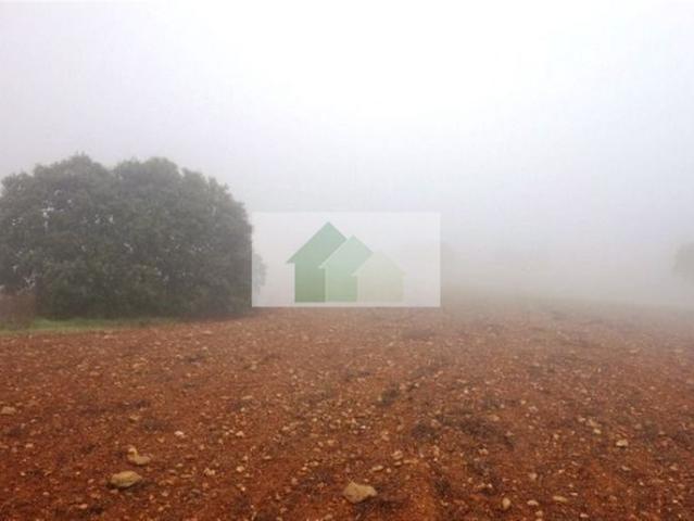 Terreno en venta Montijo