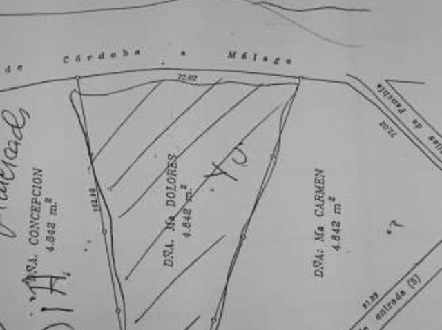 Terreno en venta Montilla