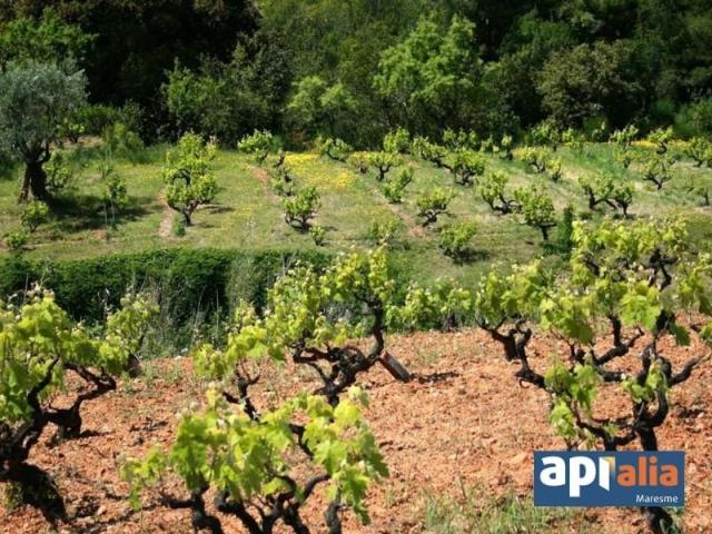 Terreno en venta Montornès del Vallès