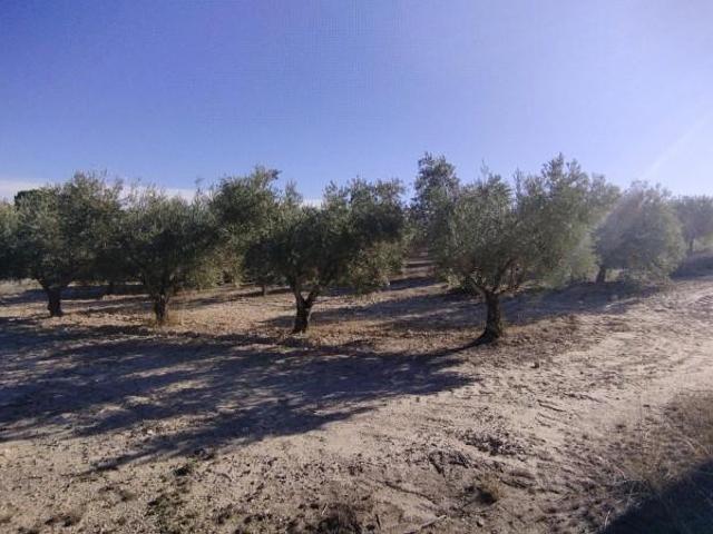 Terreno en venta Moratalla