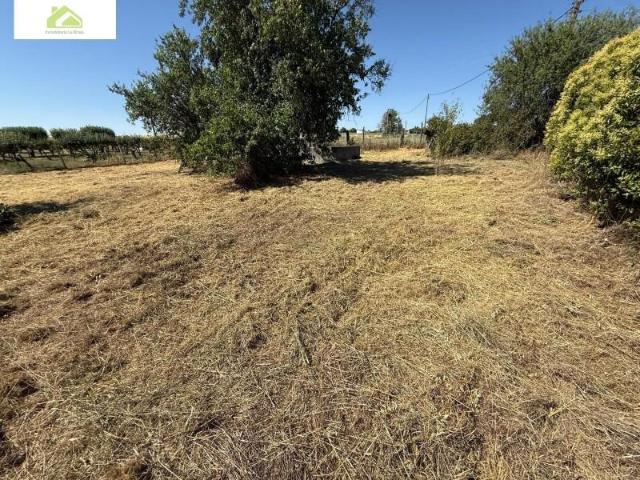 Terreno en venta Morales del Vino