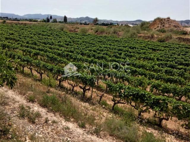 Terreno en venta Novelda