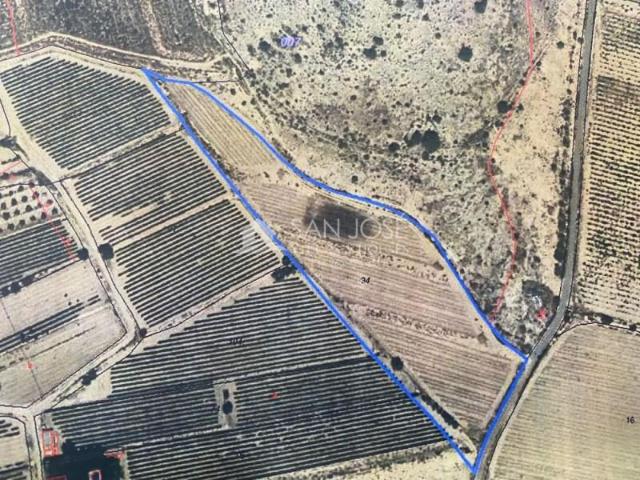 Terreno en venta Novelda
