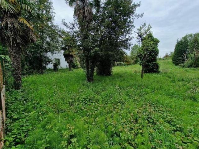 Terreno en venta Oviedo