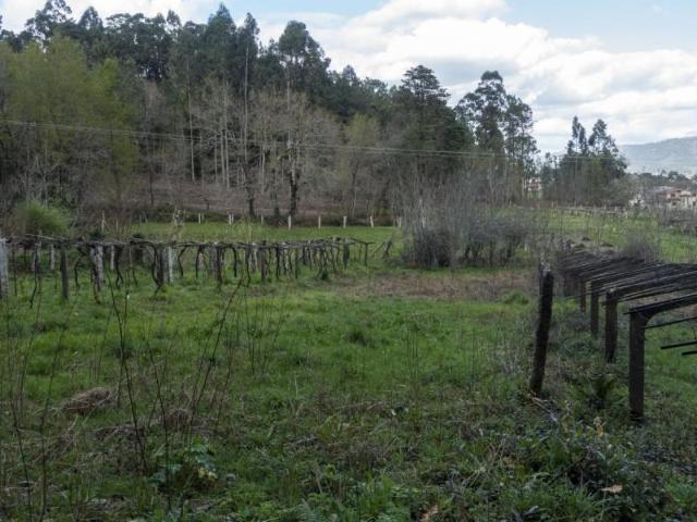 Terreno en venta O Porriño