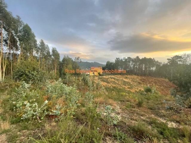 Terreno en venta O Porriño