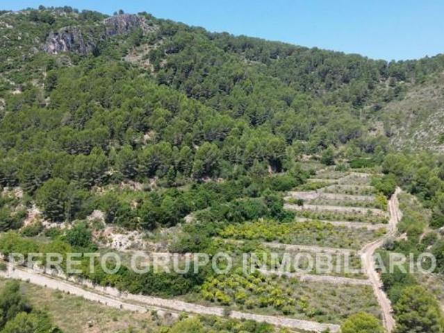 Terreno en venta Oliva
