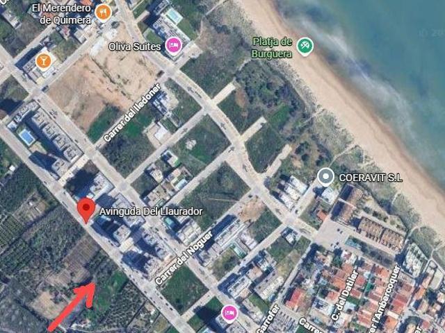 Terreno en venta Oliva