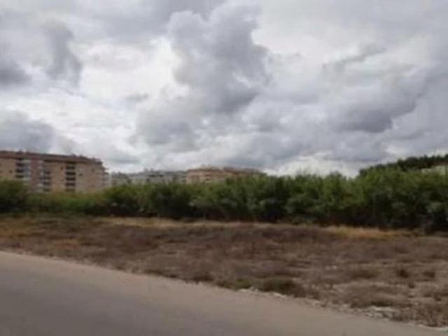 Terreno en venta Oliva