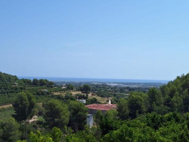 Terreno en venta Oliva