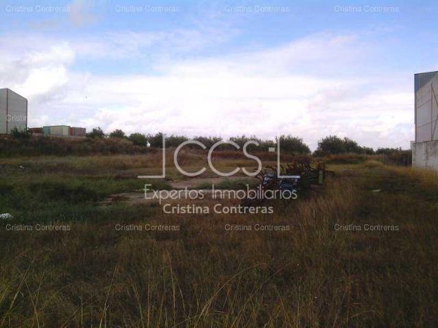 Terreno en venta Olivares