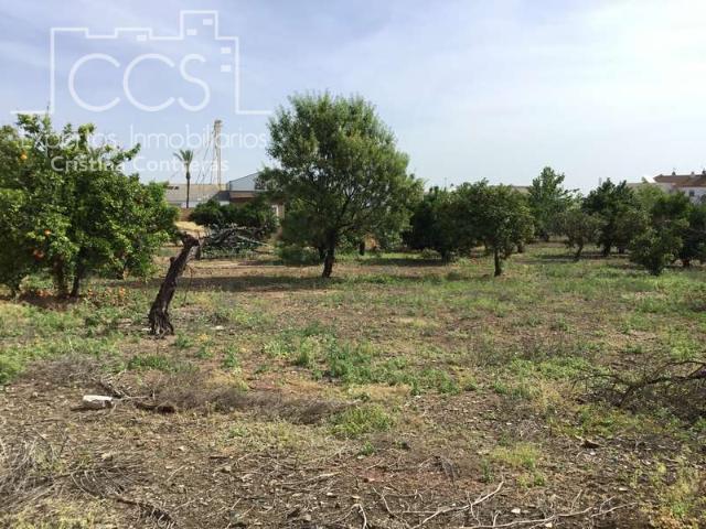 Terreno en venta Olivares