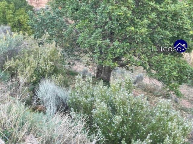 Terreno en venta Olocau