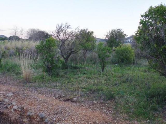 Terreno en venta Ondara